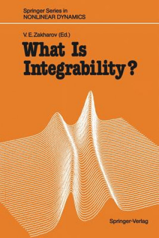 Carte What Is Integrability? Vladimir E. Zakharov