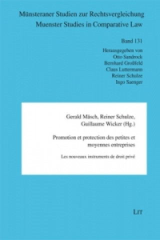 Kniha Promotion et protection des petites et moyennes entreprises Gerald Mäsch