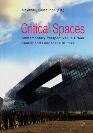 Kniha Critical Spaces Alexandru Calcatinge