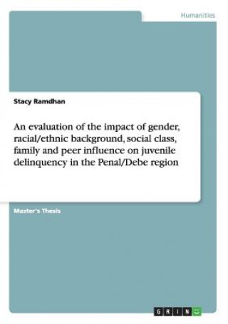 Könyv evaluation of the impact of gender, racial/ethnic background, social class, family and peer influence on juvenile delinquency in the Penal/Debe region Stacy Ramdhan