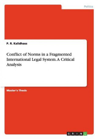 Buch Conflict of Norms in a Fragmented International Legal System. A Critical Analysis P. R. Kalidhass