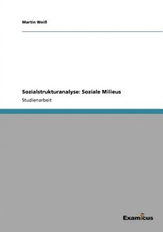 Книга Sozialstrukturanalyse Martin Weiß