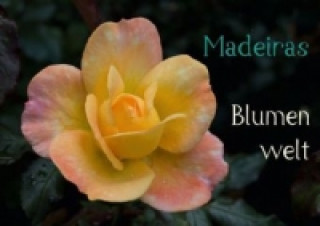 Calendar / Agendă Madeiras Blumenwelt (Tischaufsteller DIN A5 quer) Jürgen Wöhlke