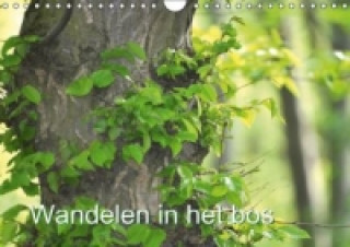 Naptár/Határidőnapló Wandelen in het bos NL- Version / Birthday Calendar (Wandkalender Eeuwigdurende kalender DIN A4 vertikaal) Claudia Burlager