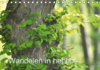 Календар/тефтер Wandelen in het bos NL- Version / Birthday Calendar (Bureaukalender Eeuwigdurende kalender DIN A5 vertikaal) Claudia Burlager
