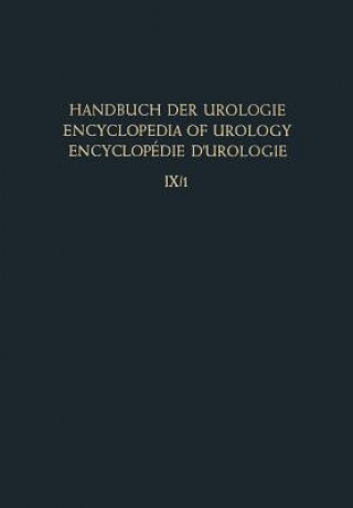 Książka Entzundung I / Inflammation I G. Bickel