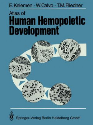Carte Atlas of Human Hemopoietic Development E. Kelemen