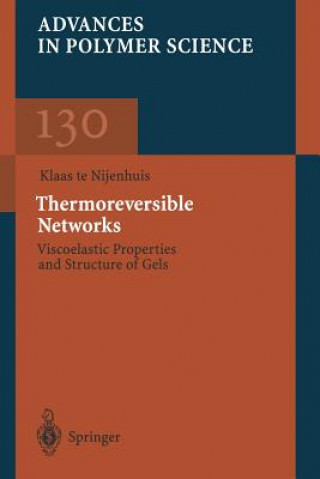 Kniha Thermoreversible Networks Klaas te Nijenhuis