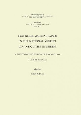 Kniha Two Greek Magical Papyri in the National Museum of Antiquities in Leiden Robert W Daniel Robert W Daniel