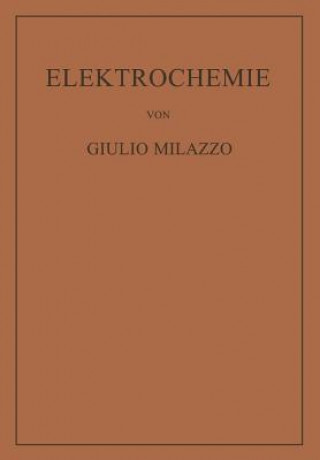 Könyv Elektrochemie Giulio Milazzo