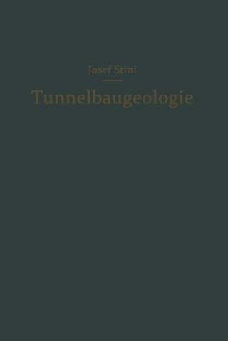 Carte Tunnelbaugeologie Josef Stini
