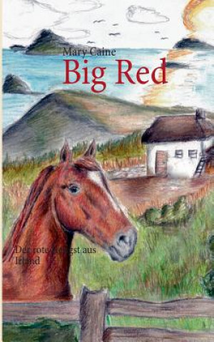 Livre Big Red Mary Caine