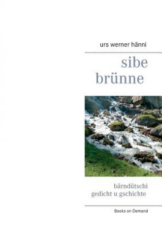 Book sibe brunne Urs Werner Hänni