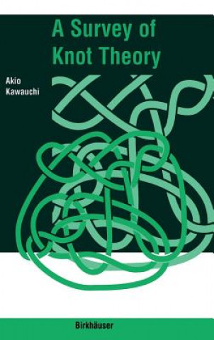 Buch Survey of Knot Theory Akio Kawauchi