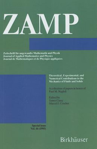 Buch Theoretical, Experimental, and Numerical Contributions to the Mechanics of Fluids and Solids James Casey