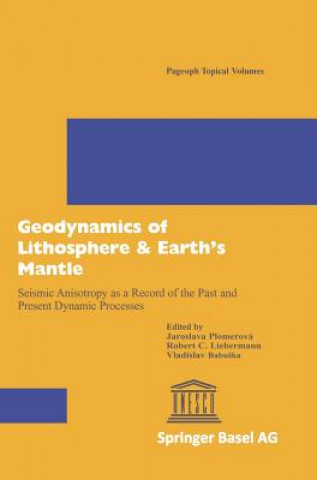 Carte Geodynamics of Lithosphere & Earth's Mantle Vladislav Babuska