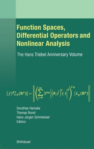 Kniha Function Spaces, Differential Operators and Nonlinear Analysis Dorothee Haroske