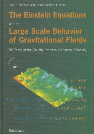 Kniha The Einstein Equations and the Large Scale Behavior of Gravitational Fields P. Chrusciel