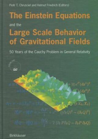 Libro The Einstein Equations and the Large Scale Behavior of Gravitational Fields P. Chrusciel