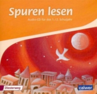 Audio Spuren lesen 