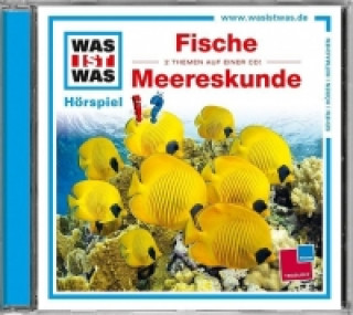 Audio WAS IST WAS Hörspiel: Fische / Meereskunde, 1 Audio-CD, Audio-CD Kurt Haderer