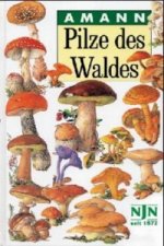 Könyv Pilze des Waldes Gottfried Amann