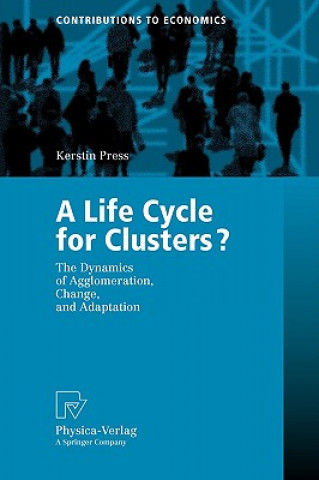 Kniha Life Cycle for Clusters? Kerstin Press