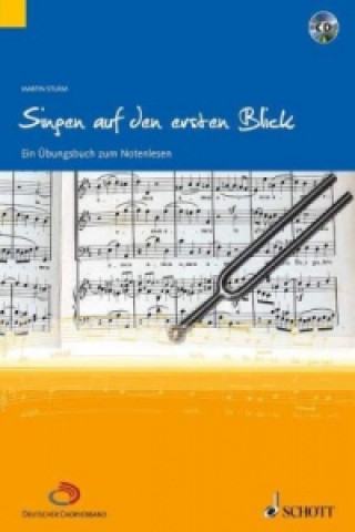 Kniha Singen auf den ersten Blick, m. Audio-CD Martin Sturm