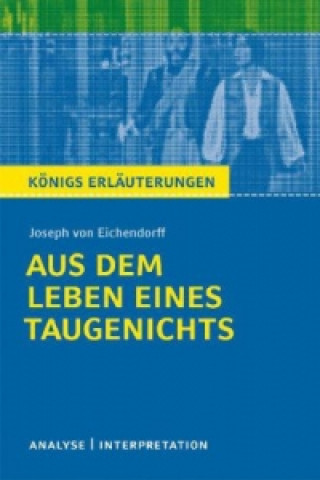 Könyv Aus dem Leben eines Taugenichts. Textanalyse und Interpretation Joseph Frhr. von Eichendorff
