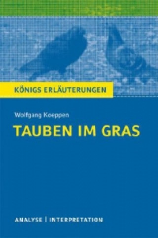 Könyv Interpretation zu Wolfgang Koeppen 'Tauben im Gras' Wolfgang Koeppen