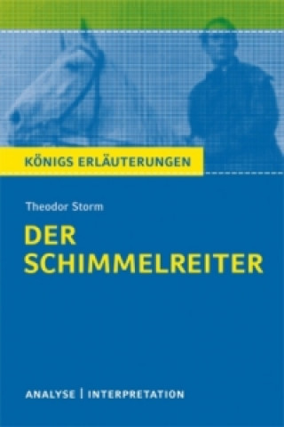 Книга Der Schimmelreiter von Theodor Storm Theodor Storm