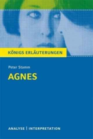 Kniha Peter Stamm 'Agnes' Peter Stamm