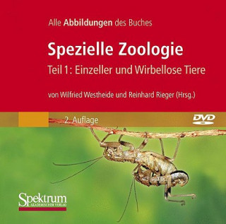 Digital Spezielle Zoologie. Tl.1, CD-ROM Wilfried Westheide