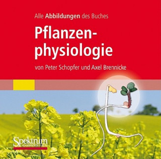 Digital Pflanzenphysiologie, 1 CD-ROM Peter Schopfer