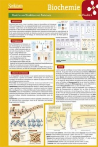 Tiskovina Biochemie im Überblick, Lerntafel 