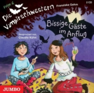 Audio Die Vampirschwestern, Bissige Gäste im Anflug, 2 Audio-CDs Franziska Gehm