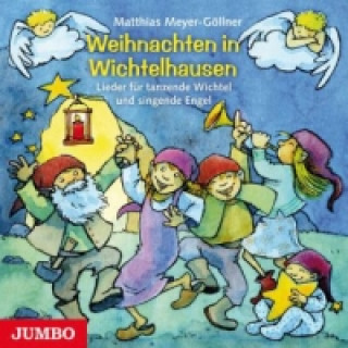 Audio Weihnachten in Wichtelhausen, 1 Audio-CD Matthias Meyer-Göllner