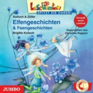 Audio Elfengeschichten & Feengeschichten, 1 Audio-CD Brigitte Kolloch