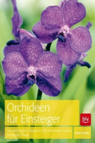 Kniha Orchideen für Einsteiger Jörn Pinske