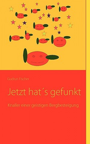 Book Jetzt hat's gefunkt Gudrun Fischer