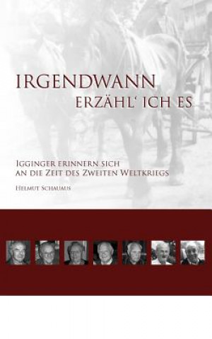 Kniha Irgendwann erzahl' ich es Helmut Schauaus