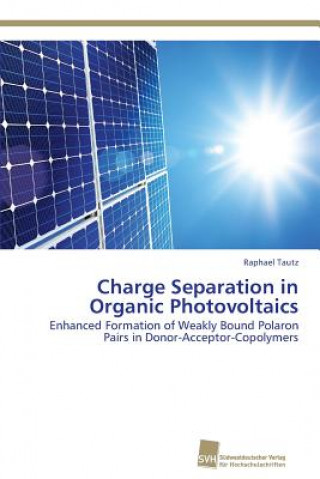 Книга Charge Separation in Organic Photovoltaics Raphael Tautz