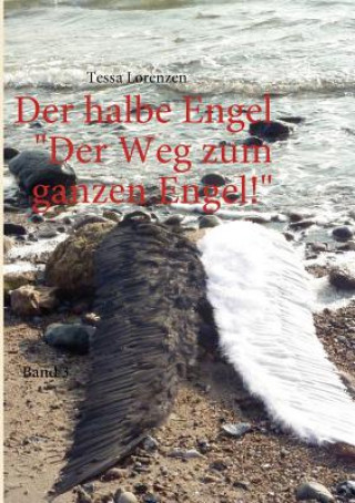 Könyv halbe Engel Band 3 Der Weg zum ganzen Engel! Tessa Lorenzen