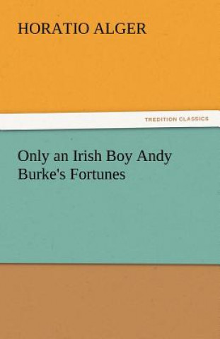 Könyv Only an Irish Boy Andy Burke's Fortunes Horatio Alger