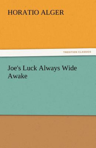 Könyv Joe's Luck Always Wide Awake Horatio Alger