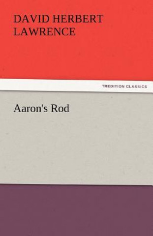 Buch Aaron's Rod David H. Lawrence