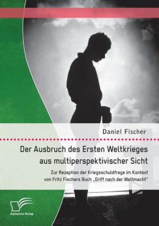 Buch Ausbruch des Ersten Weltkrieges aus multiperspektivischer Sicht Daniel Fischer