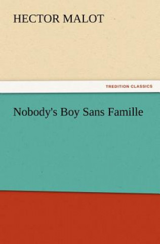 Knjiga Nobody's Boy Sans Famille Hector Malot