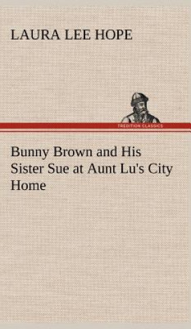 Carte Bunny Brown and His Sister Sue at Aunt Lu's City Home Laura Lee Hope
