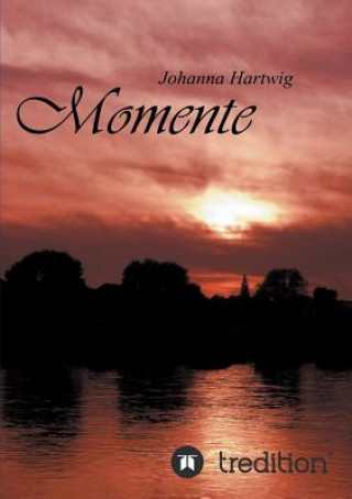 Kniha Momente Johanna Hartwig